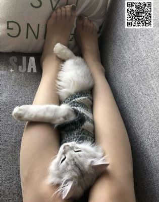 91影业_蓝光完整视频观看