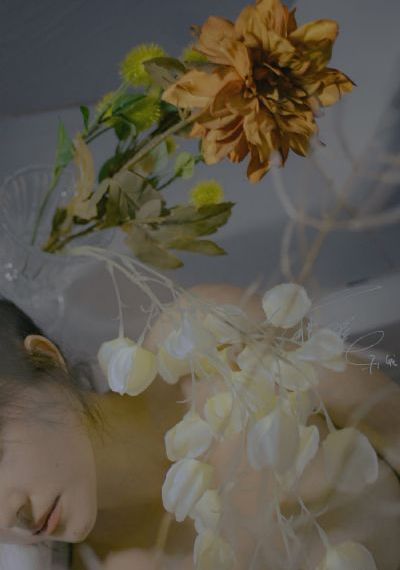 伊在线视频_BD高清免费观看